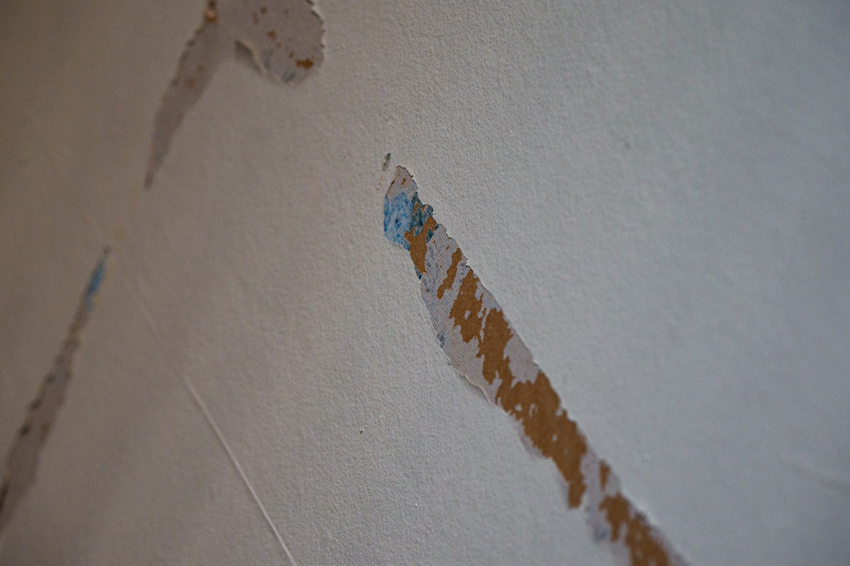 Basement Water Removal service in Southaven, MS